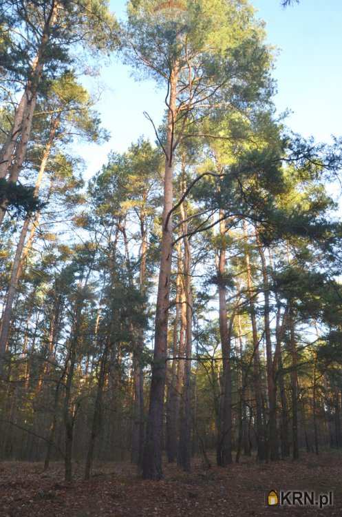 , Mariew, ul. , Działki  na sprzedaż