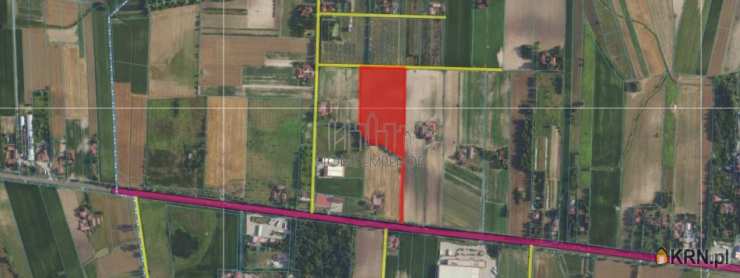 , Działki  na sprzedaż, Bieniewo-Parcela, ul. 