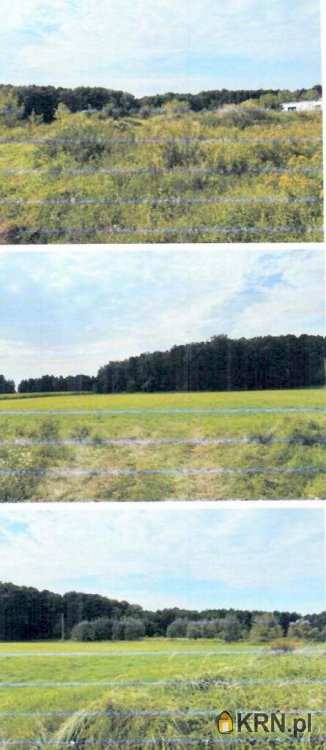 Działki  na sprzedaż, , Kisielewo, ul. 