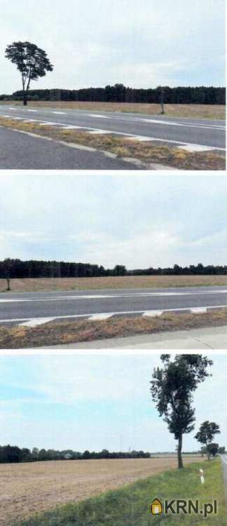 Działki  na sprzedaż, Kisielewo, ul. , 