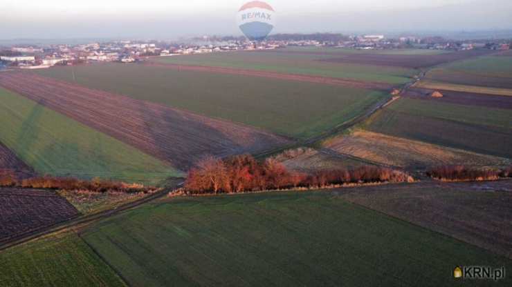 Działki  na sprzedaż, , Borek Wielkopolski, ul. 