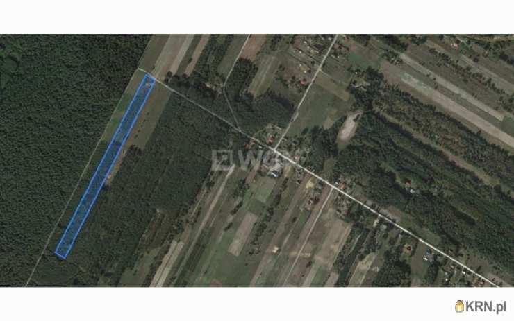 Działki  na sprzedaż, Maciejowice, ul. , 