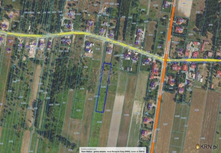 Borzęcin Duży, ul. Trakt Królewski, , Działki  na sprzedaż