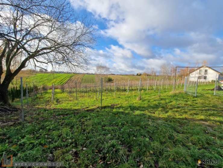 Działki  na sprzedaż, , Cianowice Duże, ul. 