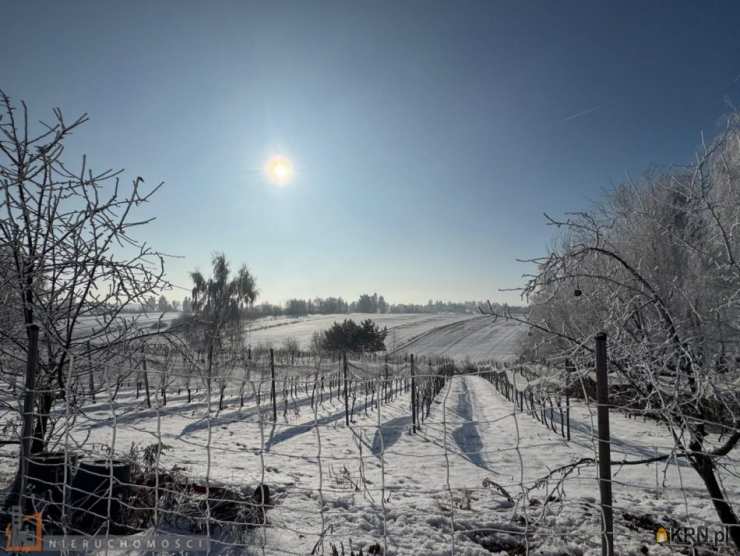 Działki  na sprzedaż, Cianowice Duże, ul. , 