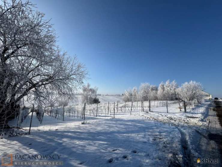 Działki  na sprzedaż, , Cianowice Duże, ul. 