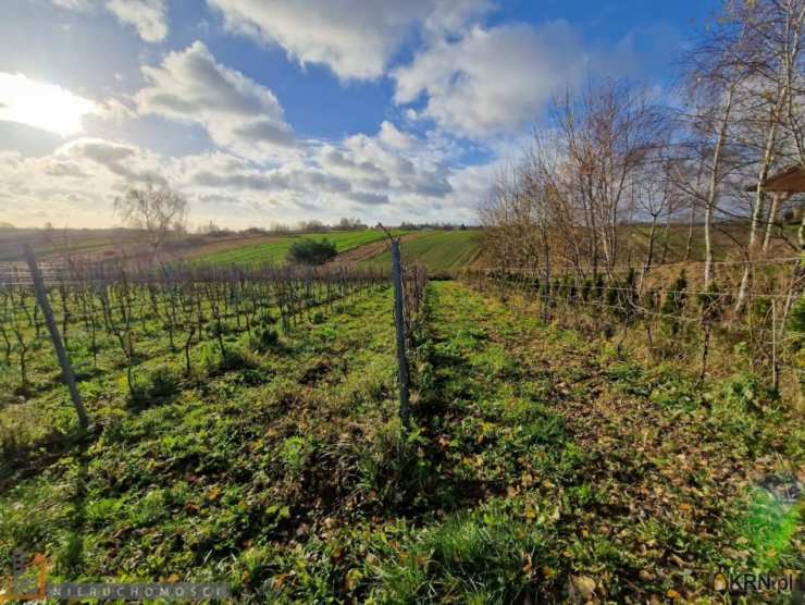 , Działki  na sprzedaż, Cianowice Duże, ul. 