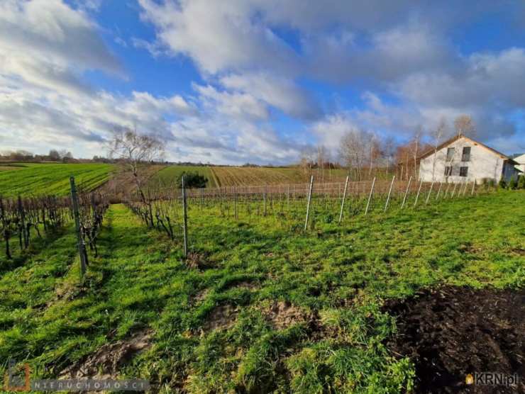 PACANOWSCY NIERUCHOMOŚCI, Działki  na sprzedaż, Cianowice Duże, ul. 