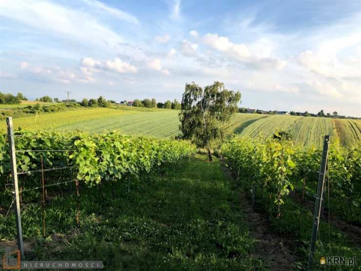 Cianowice Duże, ul. , Działki  na sprzedaż, 