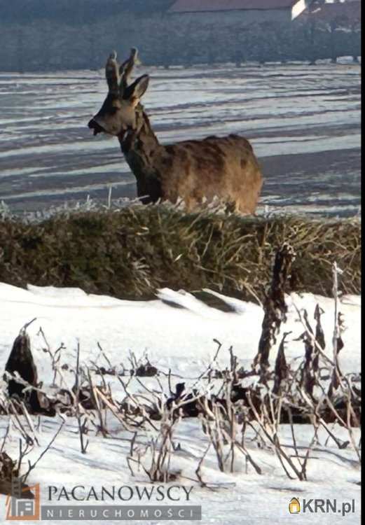 Cianowice Duże, ul. , , Działki  na sprzedaż