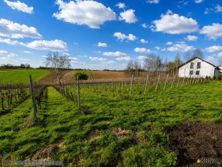 Działki  na sprzedaż, Cianowice Duże, ul. , 