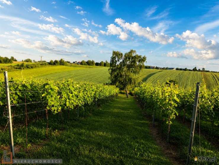 Cianowice Duże, ul. , , Działki  na sprzedaż