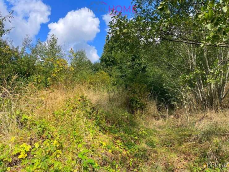 Działki  na sprzedaż, , Golcowa, ul. 