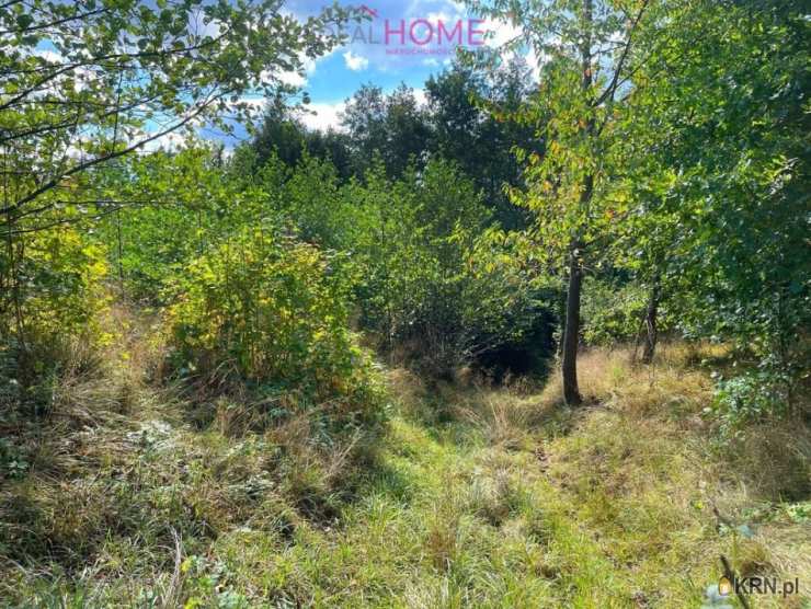 Golcowa, ul. , Działki  na sprzedaż, 