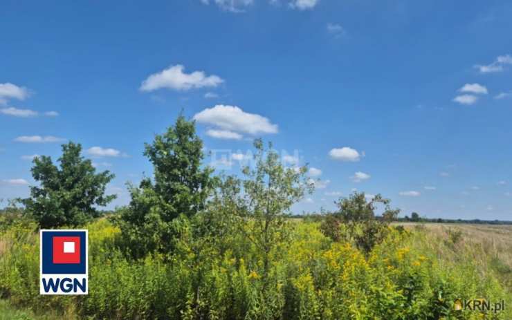 Działki  na sprzedaż, , Goleszów, ul. 