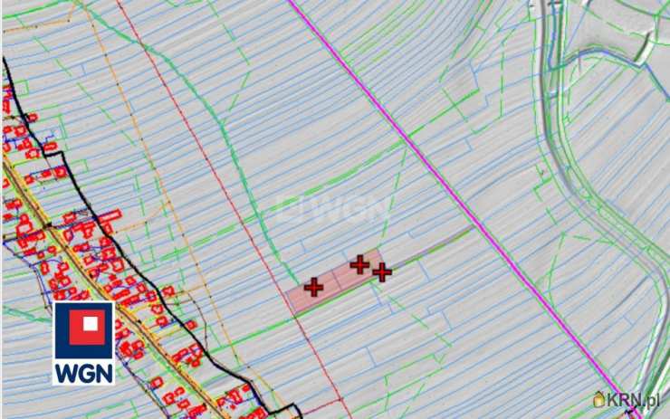 Przedsiębiorstwo Wielobranżowe 