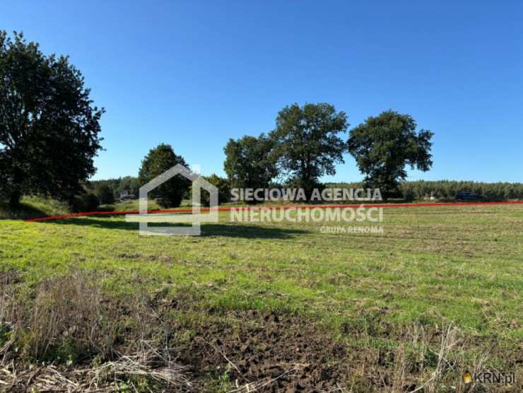 Działki  na sprzedaż, Goszyn, ul. , 