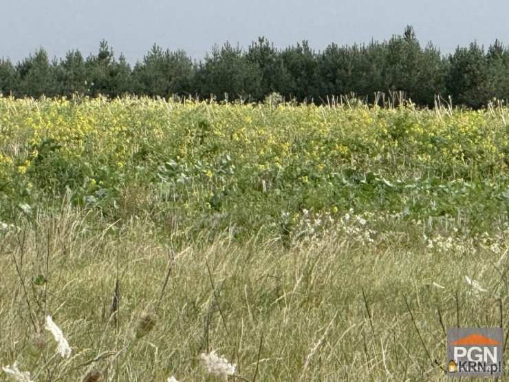 Działki  na sprzedaż, Gryfice, ul. , 