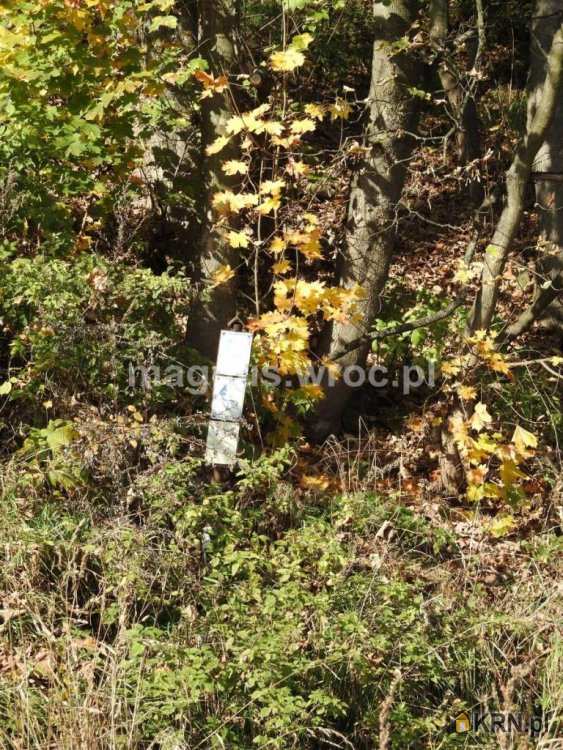 Działki  na sprzedaż, Jabłów, ul. , 