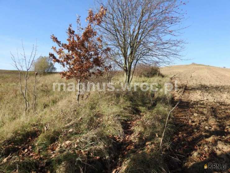 Jabłów, ul. , Działki  na sprzedaż, 