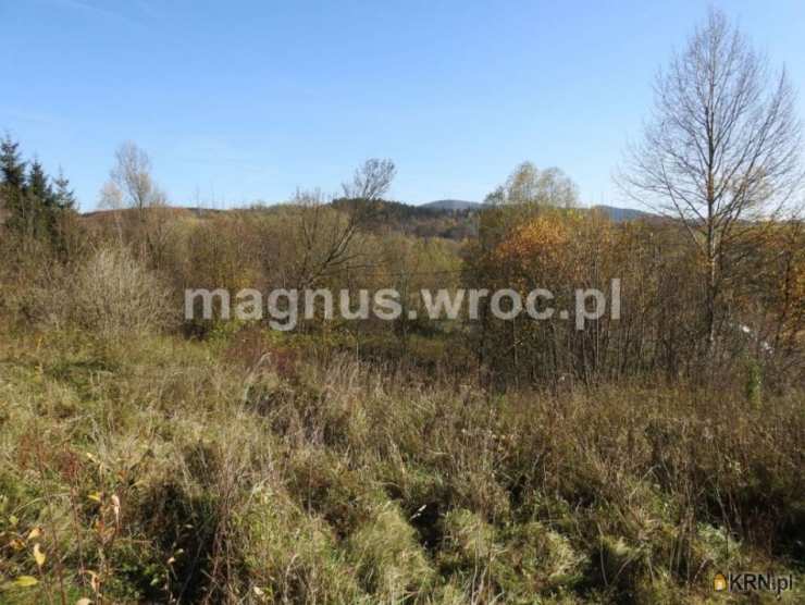 Działki  na sprzedaż, Jabłów, ul. , 