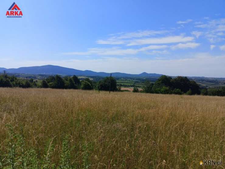 Działki  na sprzedaż, Jodłownik, ul. , 