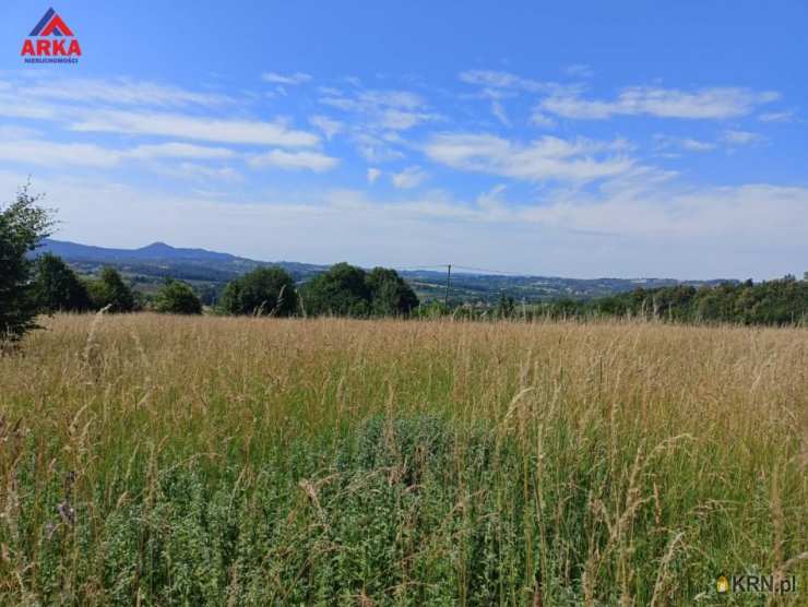 Działki  na sprzedaż, , Jodłownik, ul. 