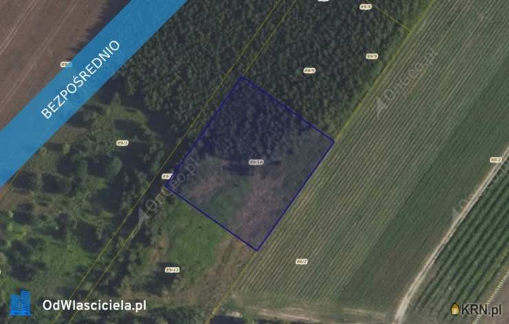 Działki  na sprzedaż, , Kamienica, ul. 