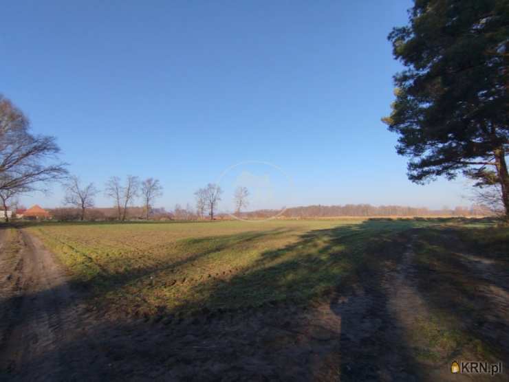 , Działki  na sprzedaż, Kędzie, ul. 