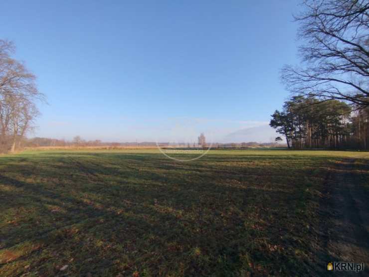 , Działki  na sprzedaż, Kędzie, ul. 