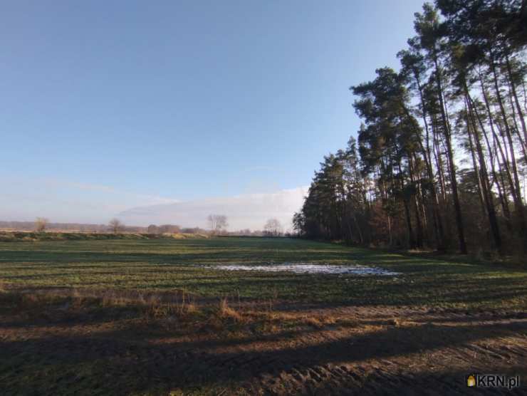 A.M.NIERUCHOMOŚCI Izabela Mateuszuk, Działki  na sprzedaż, Kędzie, ul. 