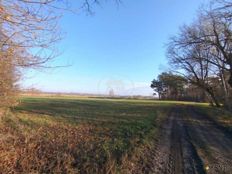 , Działki  na sprzedaż, Kędzie, ul. 