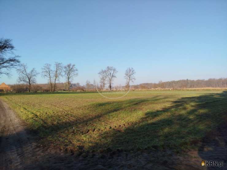 Kędzie, ul. , Działki  na sprzedaż, 