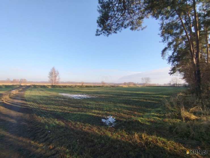 A.M.NIERUCHOMOŚCI Izabela Mateuszuk, Działki  na sprzedaż, Kędzie, ul. 