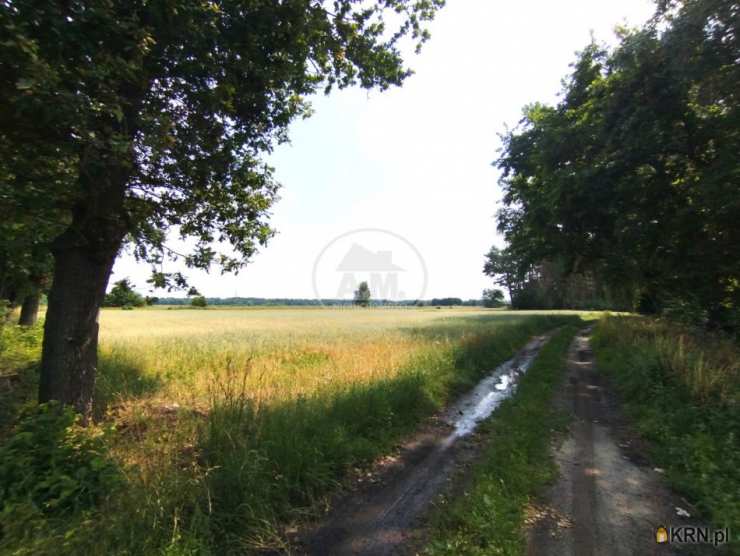 , Działki  na sprzedaż, Kędzie, ul. 