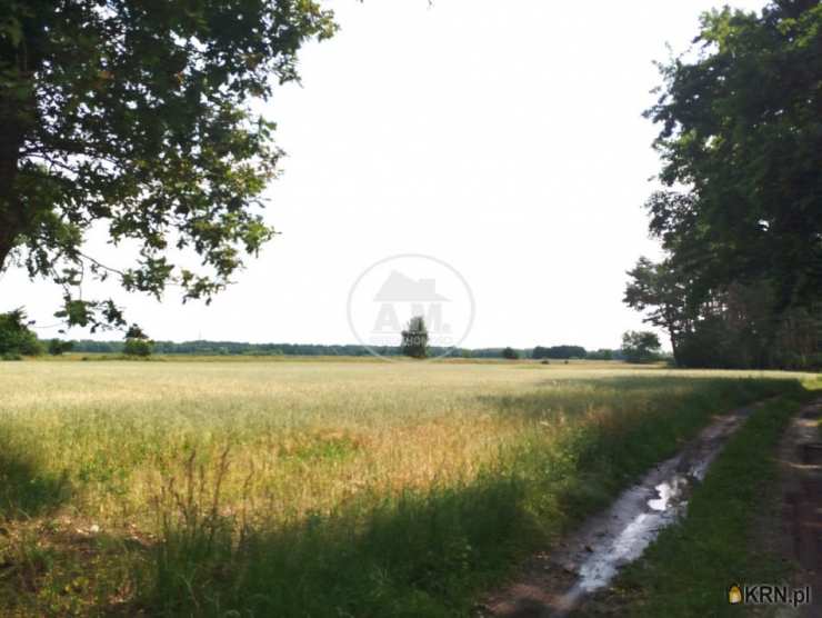 A.M.NIERUCHOMOŚCI Izabela Mateuszuk, Działki  na sprzedaż, Kędzie, ul. 