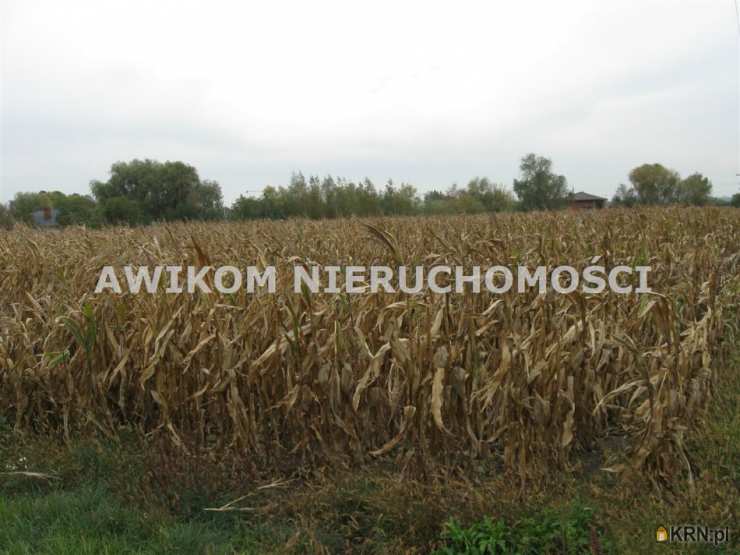 Działki  na sprzedaż, Kłudno Nowe, ul. , 