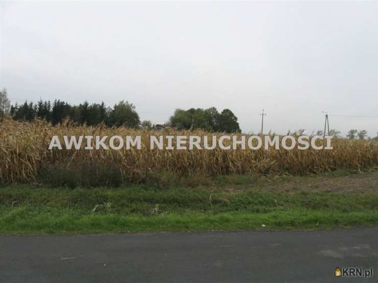 Działki  na sprzedaż, , Kłudno Nowe, ul. 