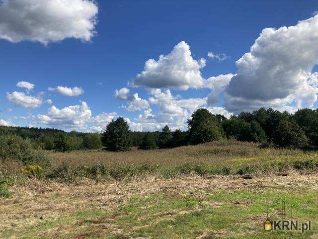 Działki  na sprzedaż, , Koczurki, ul. 