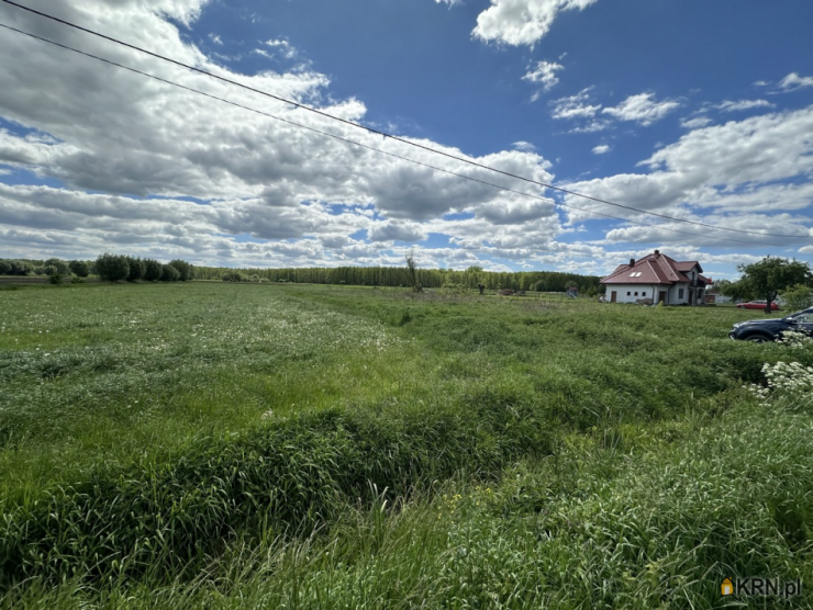 Szulc & Szulc Nieruchomośc, Działki  na sprzedaż, Krzewsk, ul. 