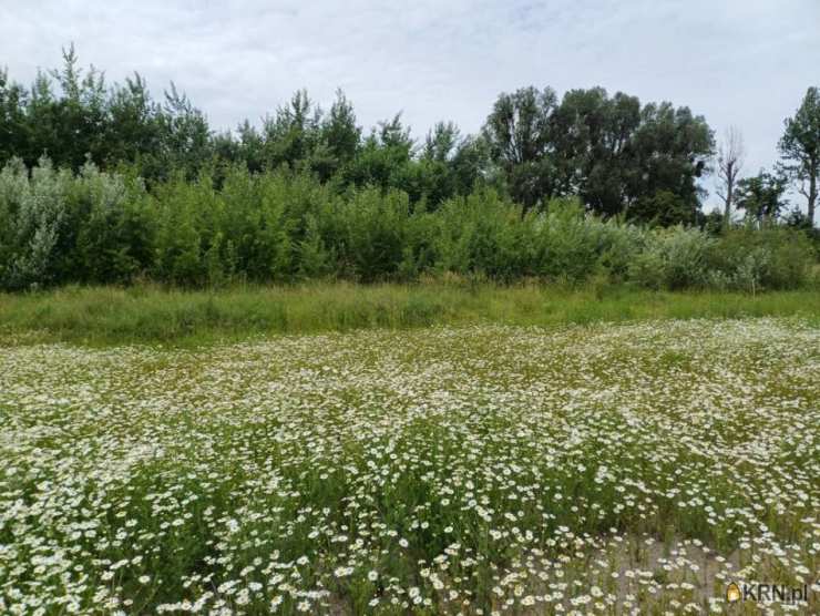 Malbork, ul. , Działki  na sprzedaż, 