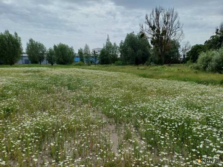 Malbork, ul. , , Działki  na sprzedaż