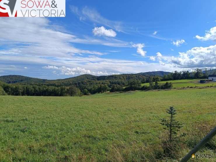 , Działki  na sprzedaż, Michałkowa, ul. 