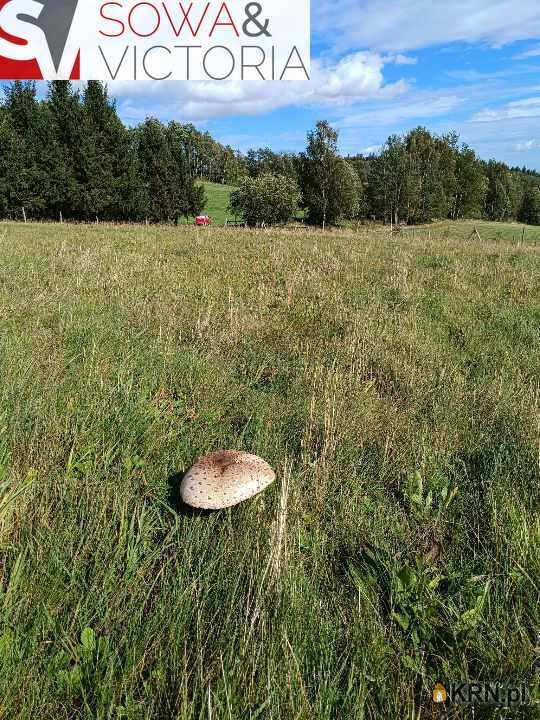 Biuro Nieruchomości SOWA, Działki  na sprzedaż, Michałkowa, ul. 