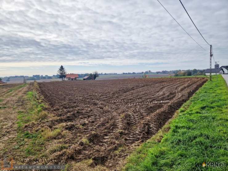 Działki  na sprzedaż, Mogilany, Celiny, ul. , 