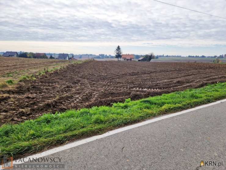 Mogilany, Celiny, ul. , Działki  na sprzedaż, 