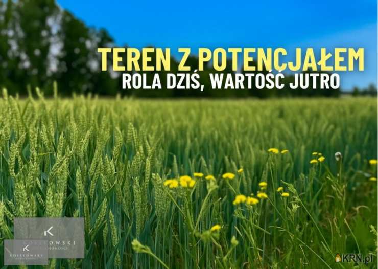 Działki  na sprzedaż, Namysłów, ul. , 