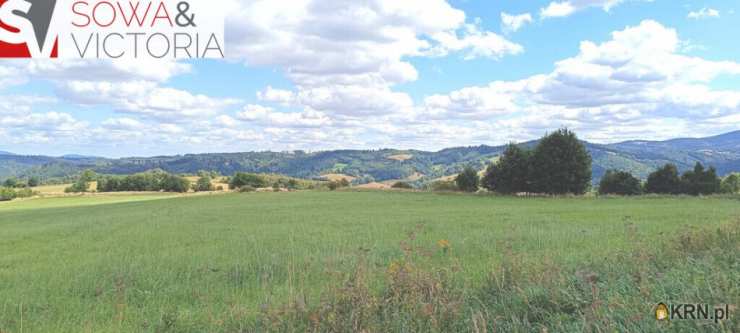 Działki  na sprzedaż, Niedźwiedzica, ul. , 