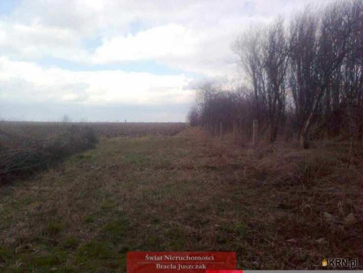 Działki  na sprzedaż, , Osiek, ul. 