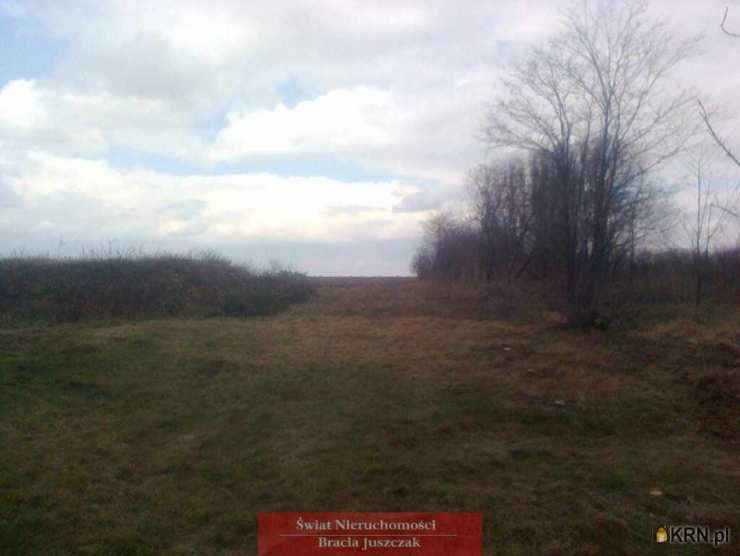 Osiek, ul. , Działki  na sprzedaż, 